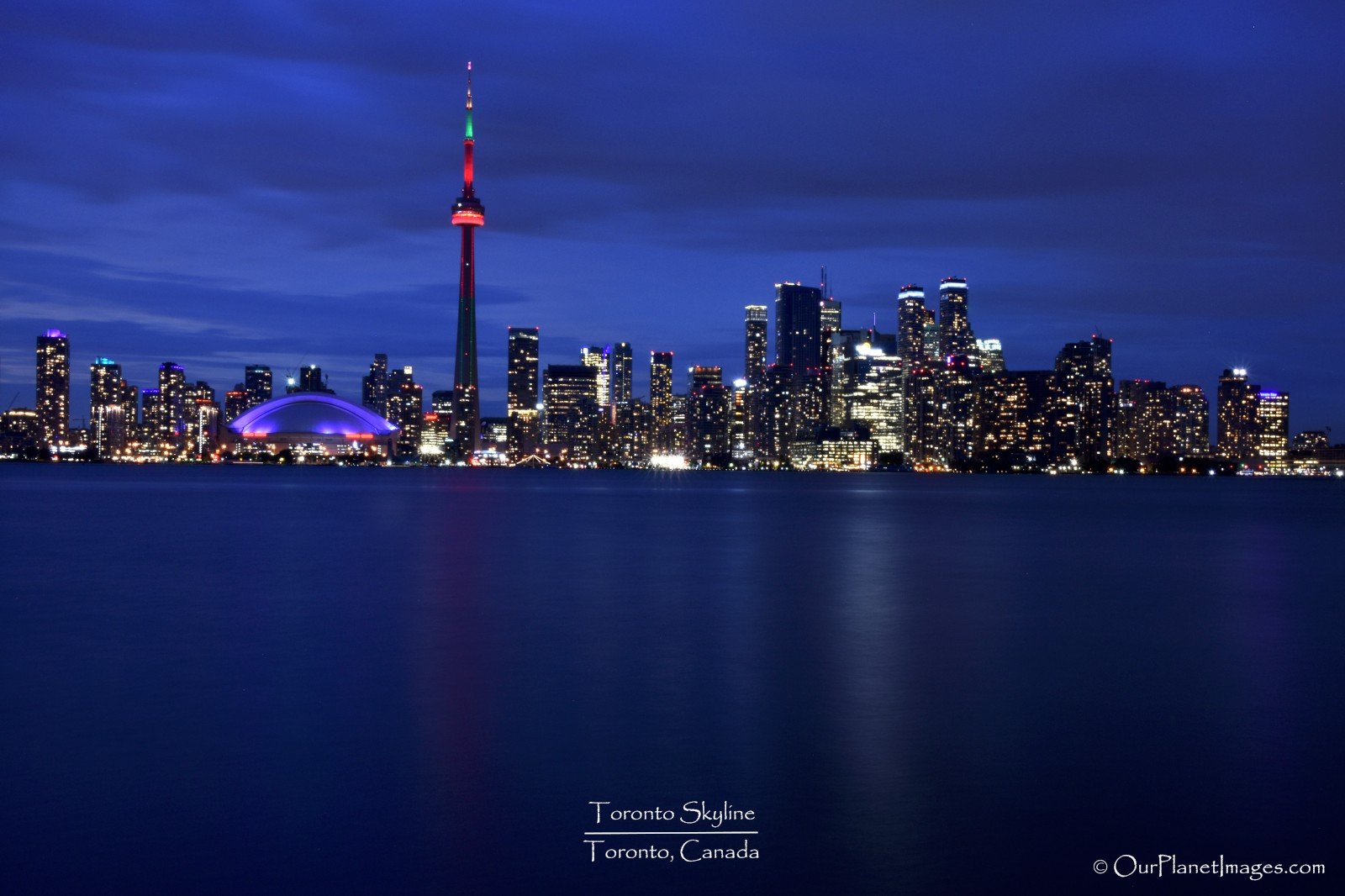 Global Food Trusts : Blockchain Food Traceability System